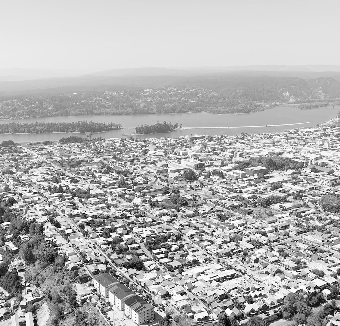 Constitución